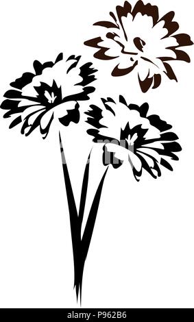 Vektor floral Design von monochromen Blumen, schwarze und weiße Blumenstrauß aus Gänseblümchen Stock Vektor