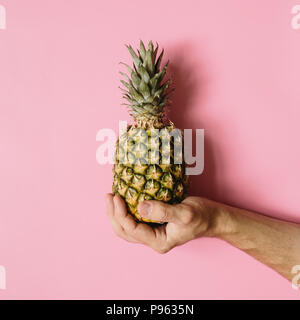 Mann Hand reife Ananas auf blass rosa Hintergrund isoliert. Minimalistischer Stil, trendige Tropical food Konzept. Stockfoto