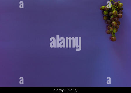 Traube in verschiedenen Farben hängen auf einem violetten Hintergrund. Frische Früchte mit großen Kopie Raum Text oder Elemente hinzuzufügen. Close Up. Stockfoto