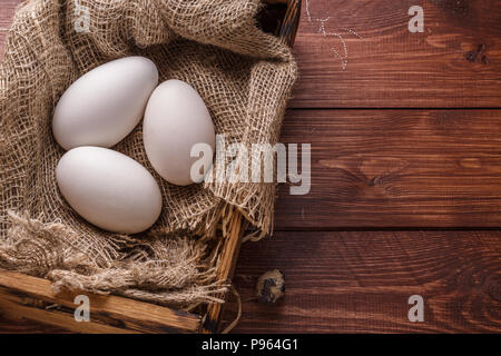 Drei große Frische gans Eier in einer Box, Copyspace. Stockfoto