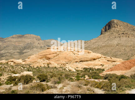 Wiesen und Berge in der Red Rock Canyon National Conservation Area am Rande von Las Vegas, Nevada. Stockfoto