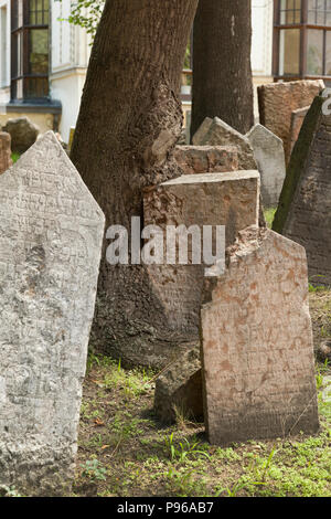 Jüdische Friedhof, das jüdische Viertel, Prag, einen Baum verschmilzt mit einem Grabstein während des Wachstums Stockfoto