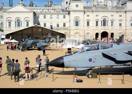 RAF 100 Anzeige auf Horse Guards Parade Stockfoto