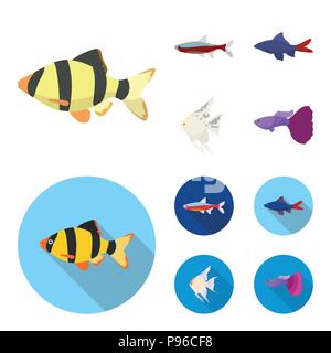 Angelfish, Common, Barbus, neon. Fisch set Sammlung Icons im Cartoon, flacher Stil vektor Symbol lieferbar Abbildung. Stock Vektor