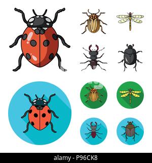 Insekten, Käfer, Käfer, Pfote. Insekten set Sammlung Icons im Cartoon, flacher Stil vektor Symbol lieferbar Abbildung. Stock Vektor