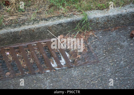 Starker Regen und der Abfluss verstopft Stockfoto