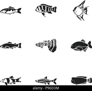 Aquarium set Symbole in Schwarz Stil. Große Sammlung von aquarium fisch vector Symbol lieferbar Stock Vektor