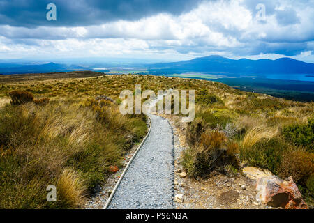 Wandern im Tongariro Alpine Crossing, Gras auf der vulkanischen Krater, Fußweg auf Vulkan, Neuseeland Stockfoto