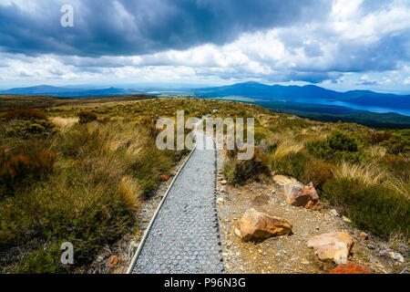 Wandern im Tongariro Alpine Crossing, Gras auf der vulkanischen Krater, Fußweg auf Vulkan, Neuseeland Stockfoto