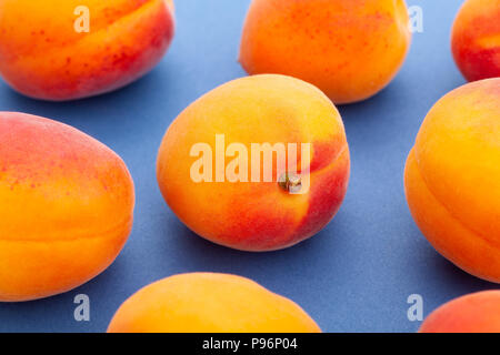 Aprikose auf blauem Hintergrund Stockfoto