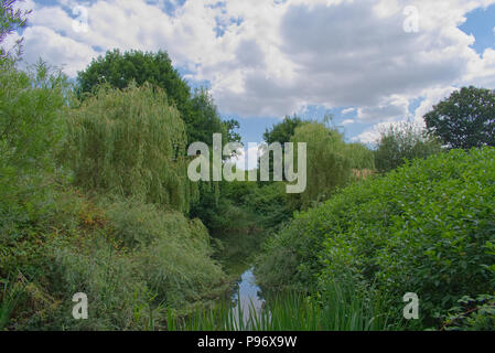 Canonteign Wasserfälle und Seen, Teign Valley, Devon, England Großbritannien Stockfoto