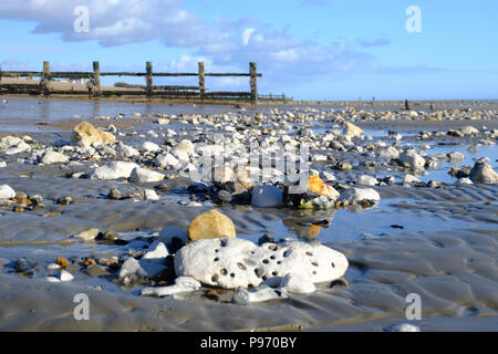 East Preston, UK. Niedrigen winkel Bild der Strand bei Ebbe ist aufschlussreich mehrere Felsen mit Piddock (eine Art von Mollusken) Löcher Stockfoto