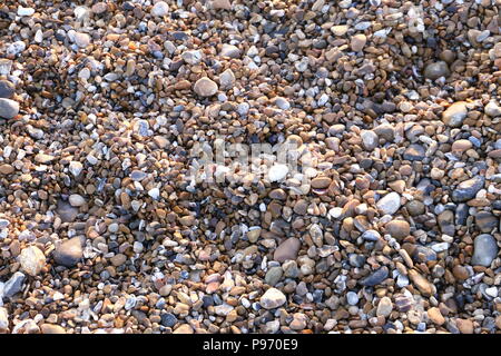 East Preston, UK. Abschnitt der kleine Kieselsteine am Strand Stockfoto