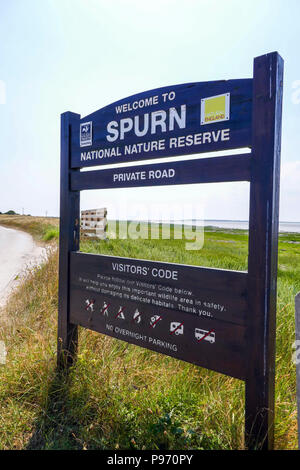 Verschmähen Kopf, verschmähen, Sandbank, in der Nähe von Hull East Yorkshire, Großbritannien Stockfoto