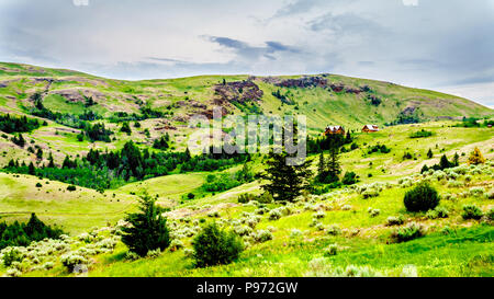 Die sanften Hügel und weiten, offenen Gras Land der Nicola Valley in der Shuswap, zwischen Merritt und Kamloops, British Columbia, Kanada. Stockfoto