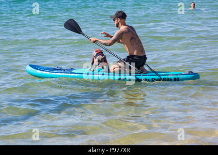 Branksome Dene, Poole, Dorset, Großbritannien. 15. Juli 2018. Die UKs ersten Hund Surfen Meisterschaften, von Shaka Surf organisiert, findet am Branksome Dene Strand an einem heißen sonnigen Tag. Läufe waren gehalten, mit den Gewinnern durch ins Viertelfinale, Halbfinale und dann der letzte der Gewinner zu entscheiden. Credit: Carolyn Jenkins/Alamy leben Nachrichten Stockfoto