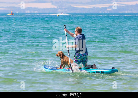 Branksome Dene, Poole, Dorset, Großbritannien. 15. Juli 2018. Die UKs ersten Hund Surfen Meisterschaften, von Shaka Surf organisiert, findet am Branksome Dene Strand an einem heißen sonnigen Tag. Läufe waren gehalten, mit den Gewinnern durch ins Viertelfinale, Halbfinale und dann der letzte der Gewinner zu entscheiden. Credit: Carolyn Jenkins/Alamy leben Nachrichten Stockfoto
