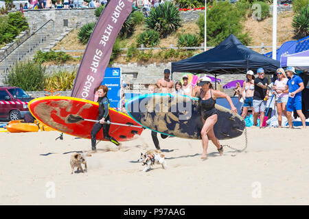 Branksome Dene, Poole, Dorset, Großbritannien. 15. Juli 2018. Die UKs ersten Hund Surfen Meisterschaften, von Shaka Surf organisiert, findet am Branksome Dene Strand an einem heißen sonnigen Tag. Läufe waren gehalten, mit den Gewinnern durch ins Viertelfinale, Halbfinale und dann der letzte der Gewinner zu entscheiden. Credit: Carolyn Jenkins/Alamy leben Nachrichten Stockfoto