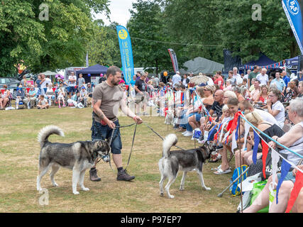 Cheshire, Großbritannien. 15. Juli 2018 - Behinderungen Bewußtsein Tag im Walton Hall und Gärten, Cheshire, England, Grossbritannien - das Wetter war heiß und sonnig wie Warrington Behinderung Partnerschaft ihr 27. jährlichen Behinderung Bewußtsein Tag Veranstaltung auf dem Gelände des Walton Hall und Gärten, wo Massen von Menschen erfahrenen Ausstellungen, Kunst, Sport, Entertainment, und jede Menge Spaß für Kinder statt. Die Aussteller viele Geräte, die mit unterschiedlichen Behinderungen Credit: John Hopkins/Alamy Live News Credit: John Hopkins/Alamy Leben Nachrichten unterstützen. Stockfoto