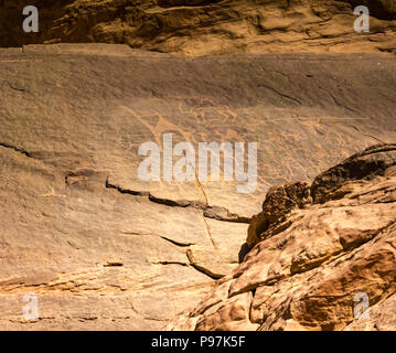 Nahaufnahme von petroglyph Felszeichnungen mit Kamelen, Wadi Rum wüste Tal, Jordanien, Naher Osten Stockfoto