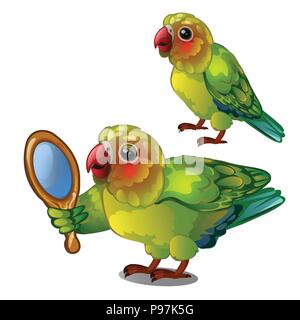 Parrot lovebird Ihr eigenes Spiegelbild im Spiegel bewundern. Tropische gezähmten Vogel auf einem weißen Hintergrund isoliert ist. Animierte Vector Illustration. Stock Vektor