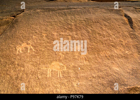 Nahaufnahme von petroglyph Felszeichnungen von Kamel und Vögel, Wadi Rum wüste Tal, Jordanien, Naher Osten Stockfoto