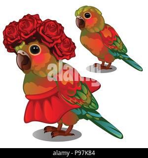 Bunte Papagei in einem roten Rock und einem Kranz von rosenblütenblätter auf seinem Kopf auf weißem Hintergrund. Vector Illustration. Stock Vektor