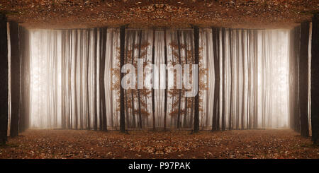 Herbst Wald Zimmer. Nebeliger morgen in einem Pinienwald. Stockfoto