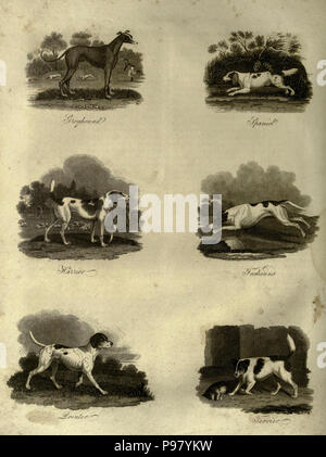 Eine Geschichte der Erde und animierte Natur. New York: T. Kinnersley, 1825. Stockfoto