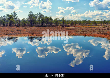 Blauer Himmel mit Wolken und einen Streifen Pinienwald am Ufer des Sees im Wasser spiegelt Stockfoto