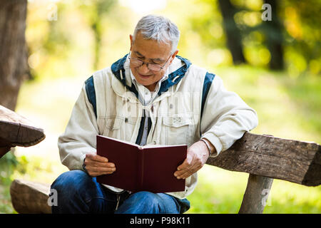 Gerne älterer Mann lesen Buch im Park im Herbst Tag Stockfoto