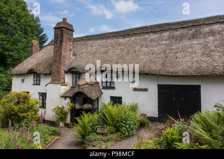 Höhere Cottage, Cockington Village, Torquay, Devon, Großbritannien Stockfoto