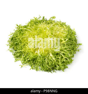 Leiter der frisch frisee Salat auf weißem Hintergrund Stockfoto