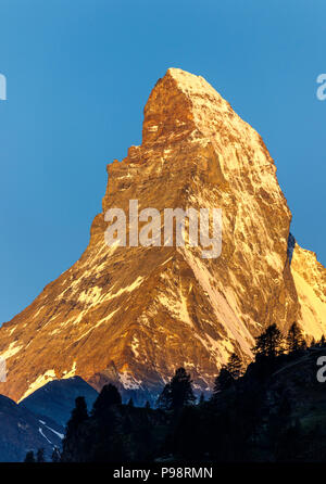 Blick auf den ikonischen schneebedeckten Gipfel des Matterhorn Zermatt, Wallis, Schweiz in Golden Morning Licht betrachtet Stockfoto