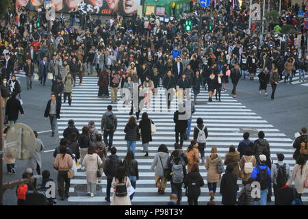 Japanische überqueren Sie die Straße auf Shibuya Straße Stockfoto