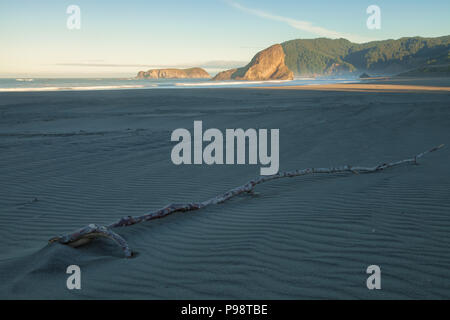 Driftwood teilweise unter Sand in Gold Beach, Oregon, United States begraben. Stockfoto