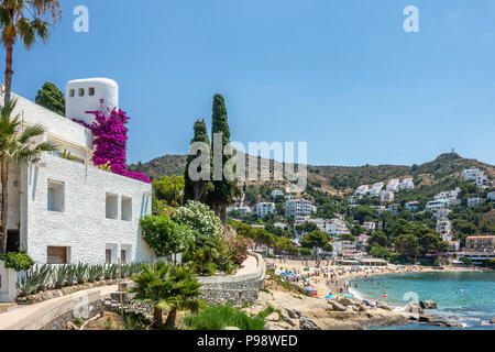 Canyelles auf Rosen am Kap Creus Costa Brava Spanien Stockfoto