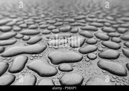 Regenwasser hat unzählige einzelne Perlen von Wasser, die angezeigt werden, versammelt zu haben und in der Ferne verblassen gebildet Stockfoto