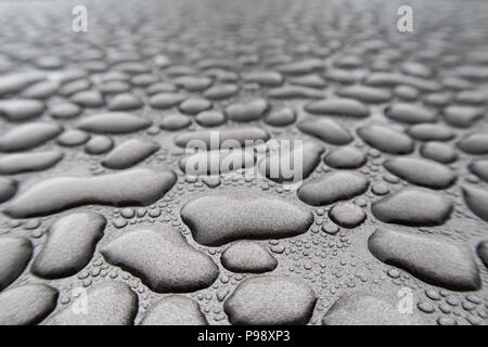 Regenwasser hat unzählige einzelne Perlen von Wasser, die angezeigt werden, versammelt zu haben und in der Ferne verblassen gebildet Stockfoto