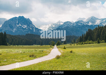 Eine Landstraße Schnitte durch die leeren Sommer wiesen im Nationalpark Durmitor, Montenegro Stockfoto