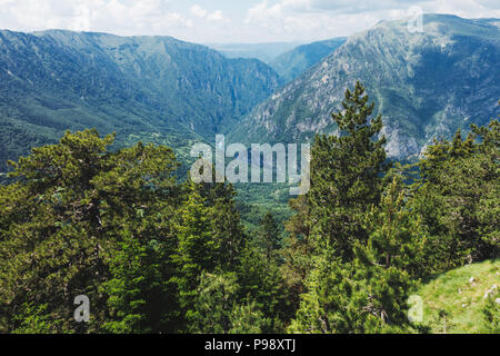 Die Aussicht vom Berg Ćurevac heraus über den Fluss Tara Canyon Nationalpark Durmitor, Montenegro suchen Stockfoto