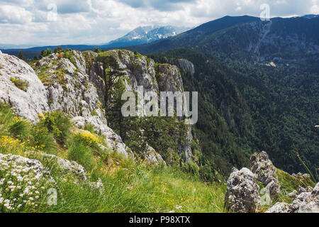 Die Aussicht vom Berg Ćurevac heraus über den Fluss Tara Canyon Nationalpark Durmitor, Montenegro suchen Stockfoto