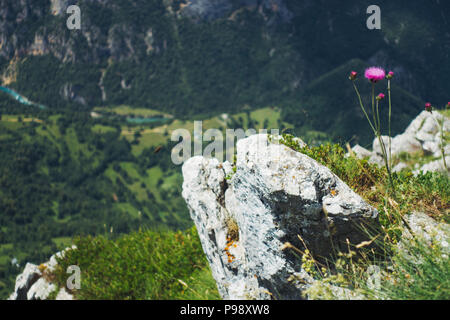 Die Aussicht vom Berg Ćurevac heraus über den Fluss Tara Canyon Nationalpark Durmitor, Montenegro suchen Stockfoto