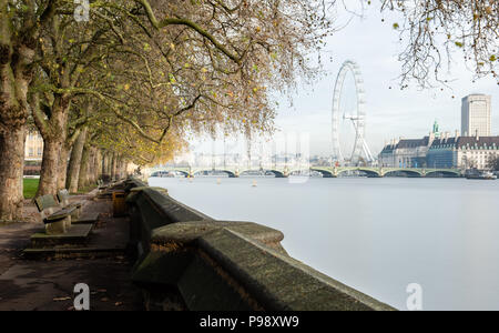 Blick auf das London Eye, Westminster Bridge, St Thomas' Hospital und die Themse von Victoria Tower Gardens in Lambeth, London Stockfoto