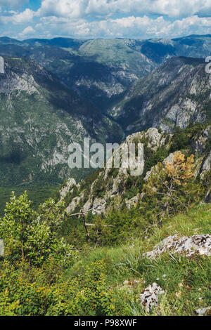 Die Aussicht vom Berg Ćurevac heraus über den Fluss Tara Canyon Nationalpark Durmitor, Montenegro suchen Stockfoto