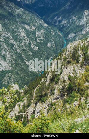 Die Aussicht vom Berg Ćurevac heraus über den Fluss Tara Canyon Nationalpark Durmitor, Montenegro suchen Stockfoto