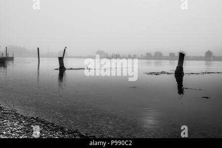 Southwold Hafen im Nebel Stockfoto