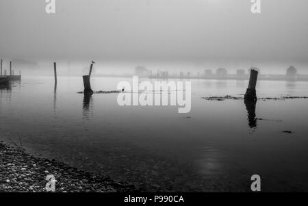 Southwold Hafen im Nebel Stockfoto