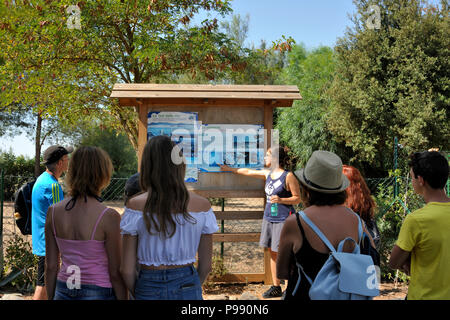 Italien, Basilicata, Policoro, Riserva Regionale Bosco Pantano, WWF Naturschutzgebiet, Centro Recupero Tartarughe Marine (Meeresschildkröten Recovery Center) Stockfoto