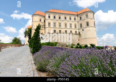 Mikulov, Tschechische Republik - 16. Juni 2018: Schloss Mikulov (nikolsburg) auf den Gipfel des Hügels stellen mit dem asphaltierten Straße und Lavendel wächst durch die Straße Stockfoto